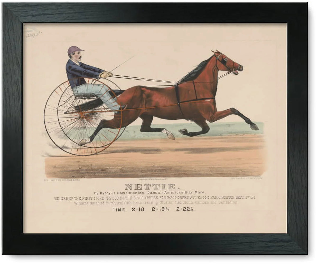Rysdyk's Dam, By American 1874 And Framed Mare, Star Print: Hambletonian, Nettie: