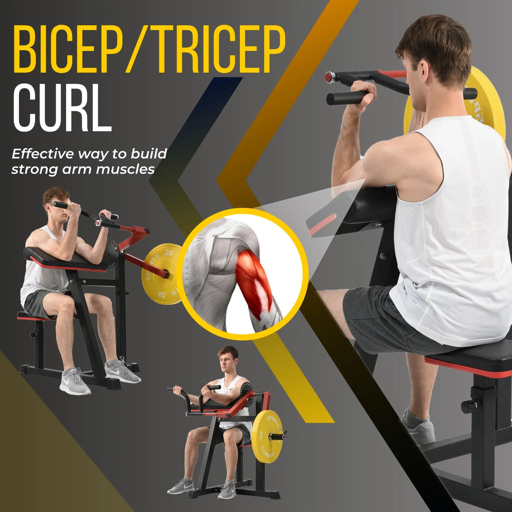 Curl Bicep Bicep Gym and Machine with Seat, Home Adjustable Curls Tricep Extension Tricep Machine